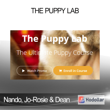 Nando, Jo-Rosie & Dean - The Puppy Lab